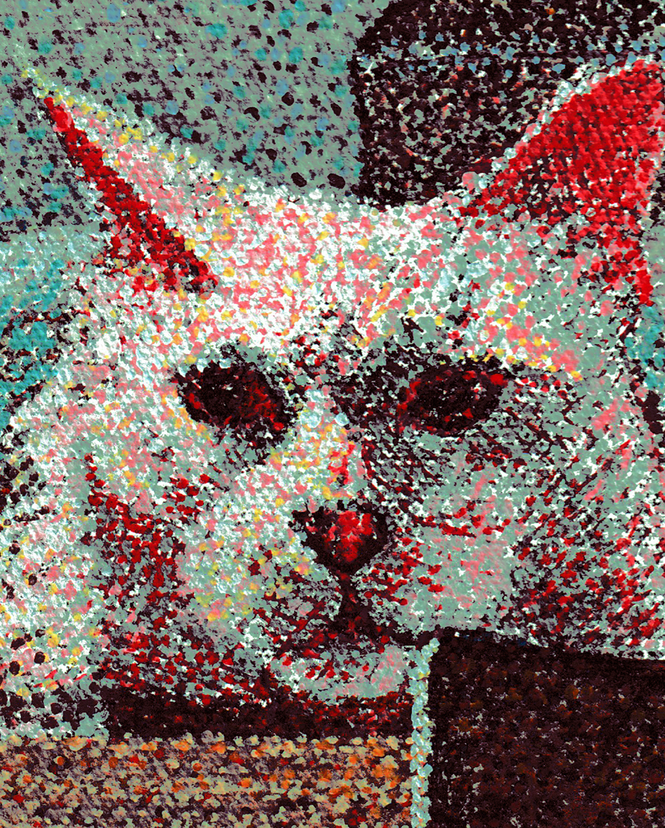 OBRA PEQUEÑA 1